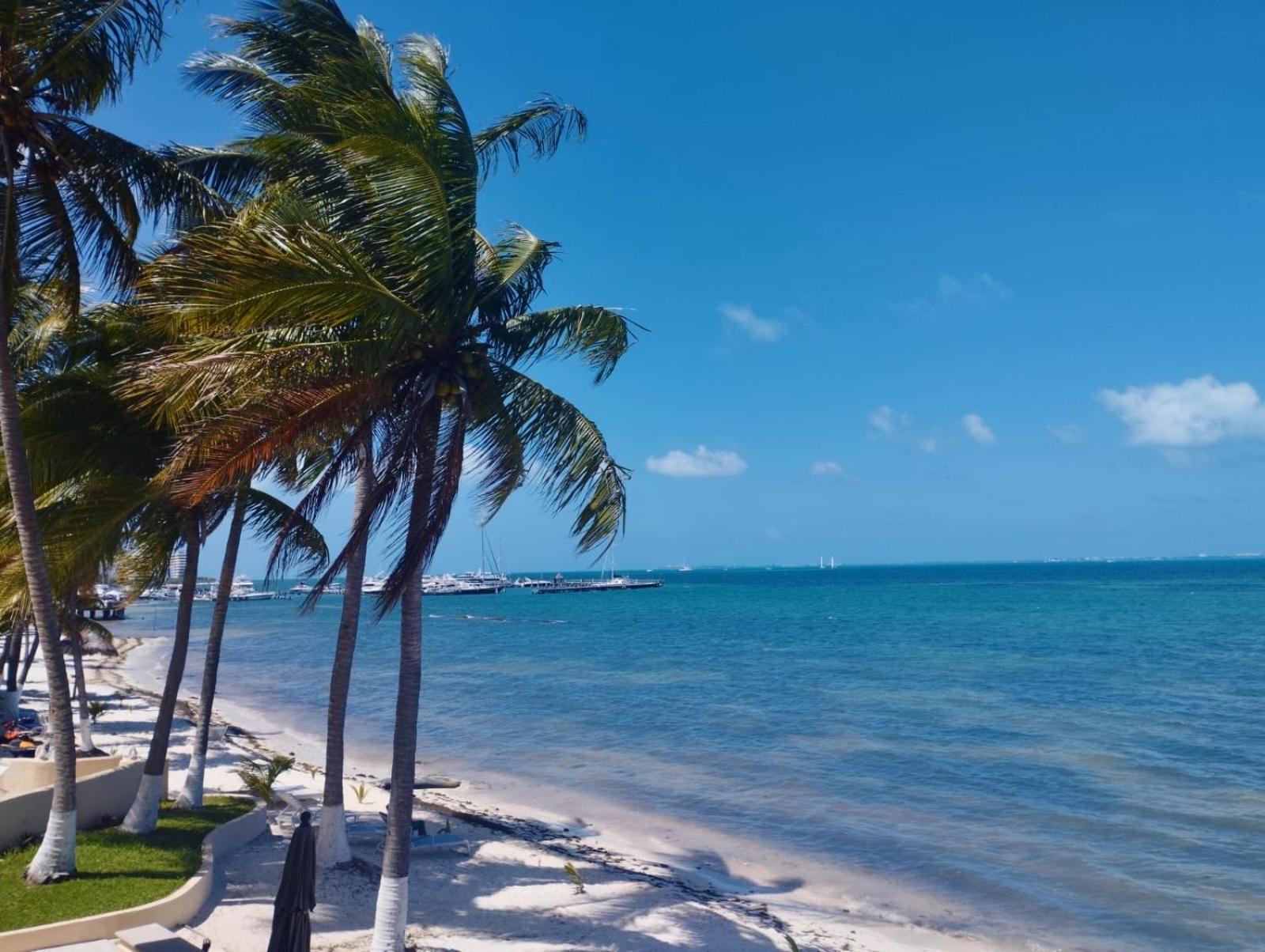 Cancun Ocean View Playa Del Nino ห้อง รูปภาพ